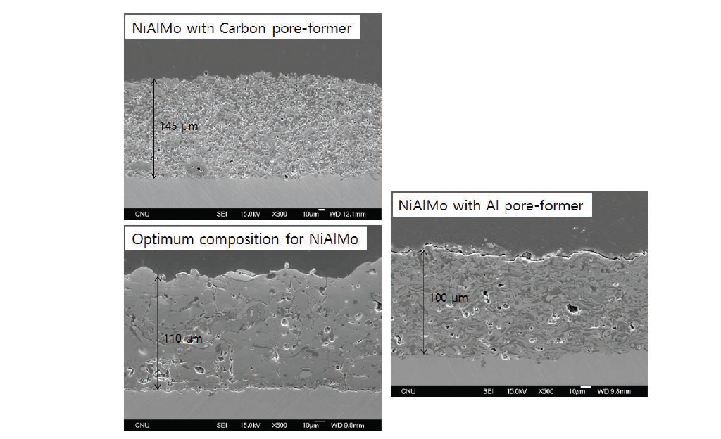 Mo-doped Ni 촉매 코팅층의 단면 미세조직