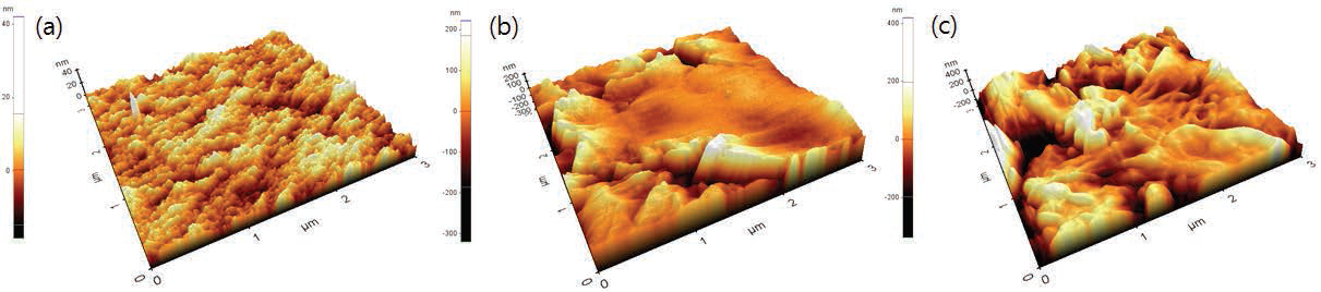 IP + CNT 중공사막의 표면 AFM 분석