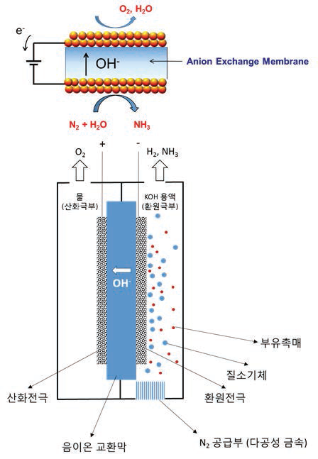 음이온 교환막을 이용한 암모니아 합성 개략도 (위) 및 합성 장치 (아래)