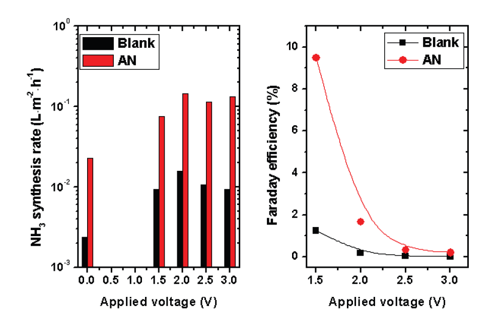 부유 촉매 AN 유무에 따른 암모니아 합성률 (왼쪽) 및 패러데이 효율 (오른쪽)