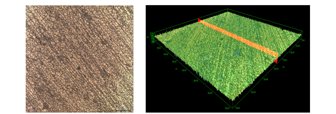 표면 개질 전 접합 플레이트 표면 Confocal 분석 사진