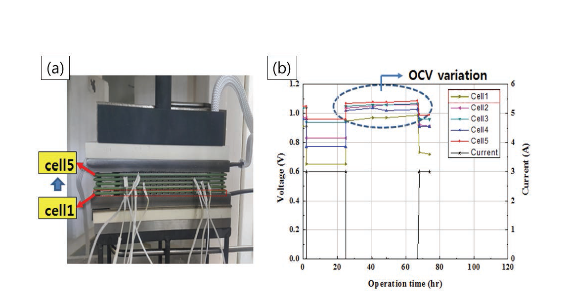 (a) 5단 직렬 스택 이미지, (b) 5단 직렬 스택 OCV 측정 결과