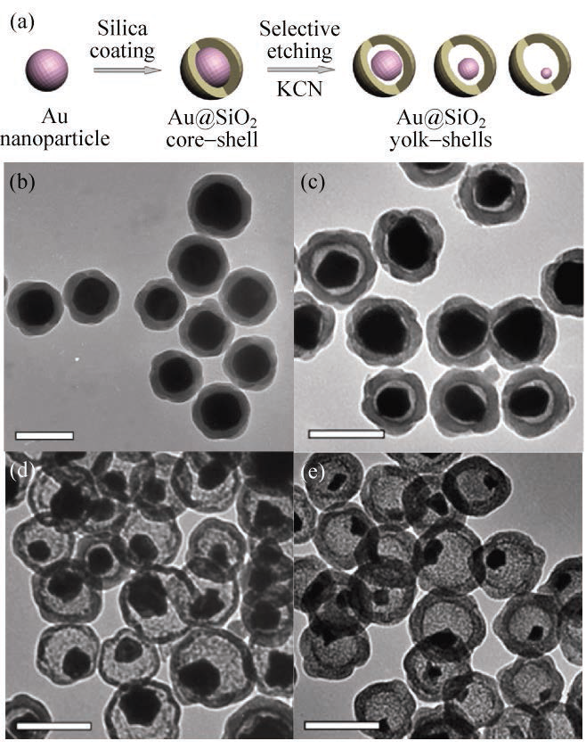 (a) Synthetic scheme for the Au@SiO2 yolk-shell framework; (b) TEM images of Au@SiO2 core-shell and (c)–(e) Au@SiO2 yolk–shell nanoparticles 10)