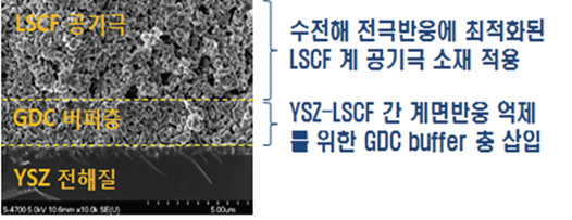 LSCF 공기극 및 GDC buffer layer 적용 셀의 미세구조