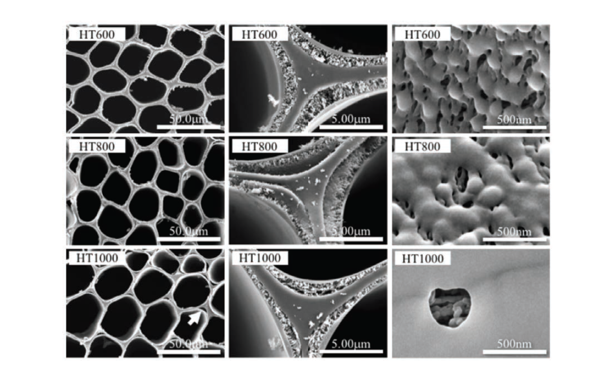 Hydro-thermal carbonized hinoki wood