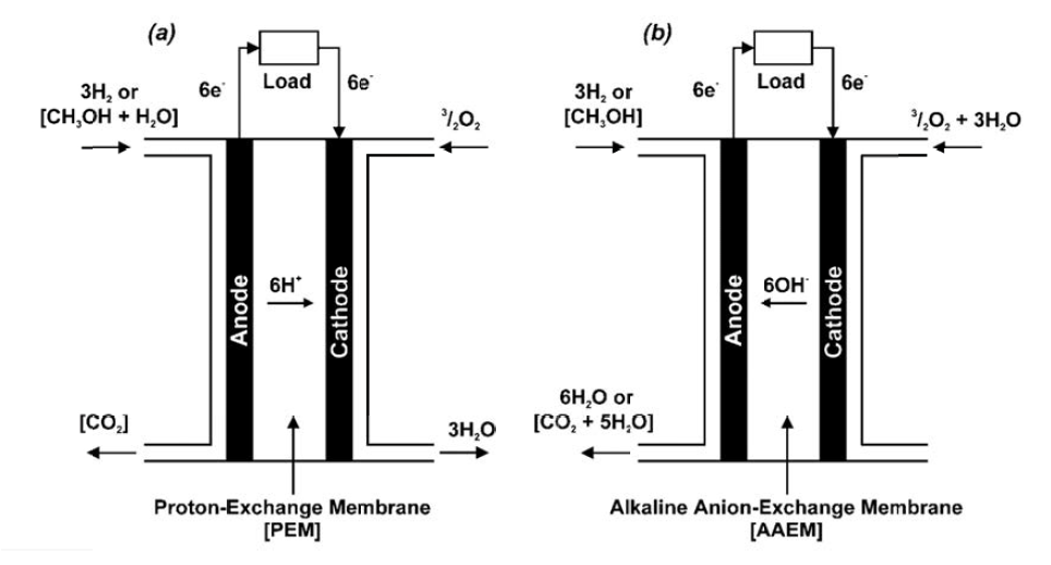 양이온 교환 막 (PEM) 연료전지 시스템과 음이온 교환 막 (AEM) 연료전지 시스템