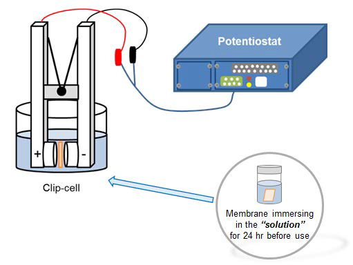 이온교환막의 전기 저항 측정을 위한 clip-cell system.