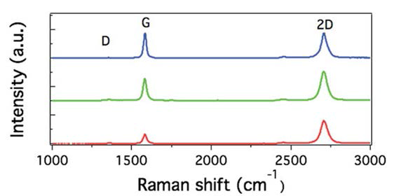 3차원구조 그래핀 기반 이온교환막의 Raman 분석 결과.