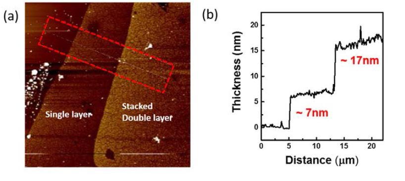 5 nm 크기의 PbS 양자점으로 이루어진 필름의 전사 후 두께 측정 결과 (a) AFM topology image (b) profile 측정 결과