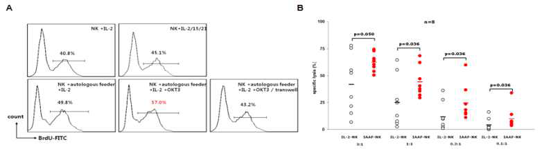 IAAF-NK(irradiated and activated autologous feeder-stimulated NK) 세포의 증식 및 세포독성