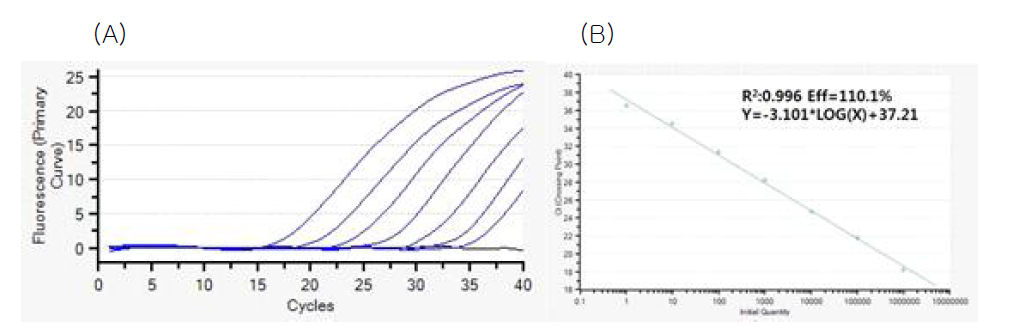 종양 내 다양한 농도의 GX-051에 대한 Q-PCR 분석 후 나타나는 형광 시그널 증 수준 비교 결과 (A)와 도출된 표준곡선 (B)