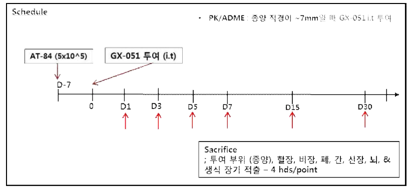 GX-051 단회 투여 PK/ADME 시험 계획