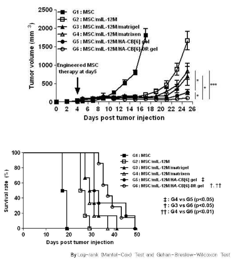 세포지지체를 도입한 GX-051의 동물 항암효능
