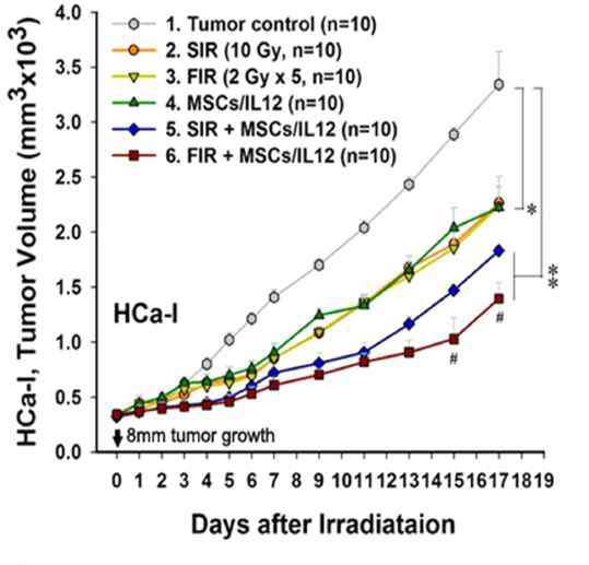 방사선치료와 GX-051의 병용투여에 따른 항암효과