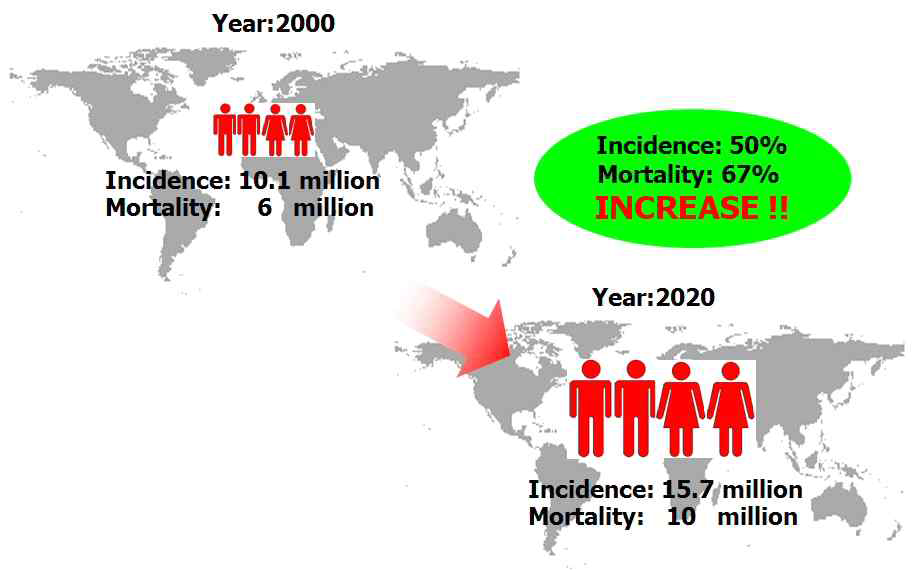 암 발병율 및 사망률 증가 경향