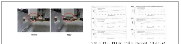 PCL, PLGA, 그리고 blended PCL/PLGA