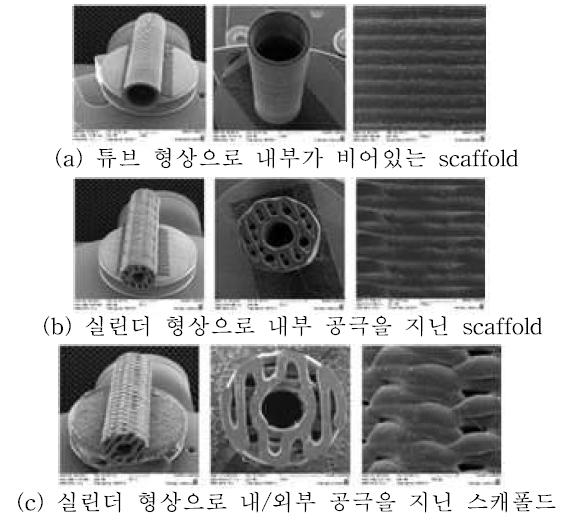 폴리머 적층 시스템을 이용하여 제작한 스캐폴드의 SEM 사진