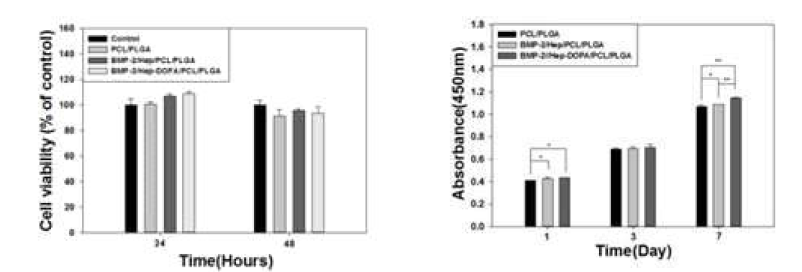 PCL/PLGA scaffold의 세포 독성와 증식도 평가