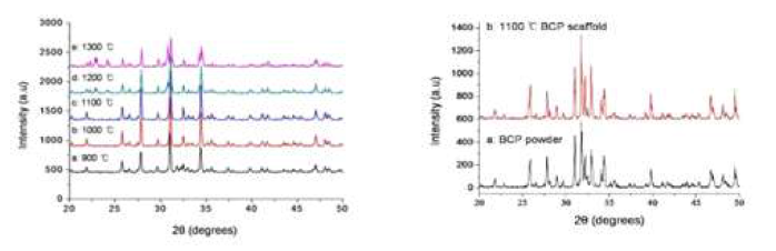 900℃의 하소된 β-TCP 미립자와 1000℃~1300℃에서 소결된 β-TCP 인공지지체의 XRD 상 변화에 대한 결과와 1100℃에서 소결된 BCP 인공지지체의 XRD 상변화에 대한 결과