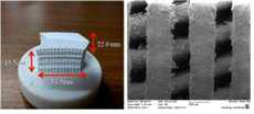 1100℃에서 소결된 BCP 인공지지체의 SEM 사진