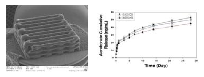 PCL/알렌드로네이트 인공지지체의 SEM 사진과 방출 거동 결과