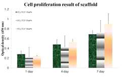 PCL/β-TCP 인공지지체의 세포 증식 결과