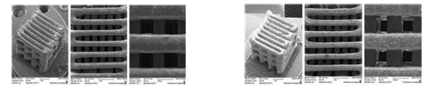 3차원 HA(75 wt%)/β-TCP(25 wt%)와 HA(50 wt%)/β-TCP(50 wt%) 인공지지체의 SEM 사진