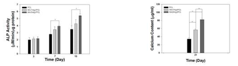 알렌드로네이트가 함유된 인공지지체의 ALP activity(좌) 와 Calcium content(우) 분석