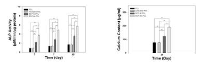 BCP/PCL 인공지지체의 ALP activity(좌) 와 Calcium content(우) 분석