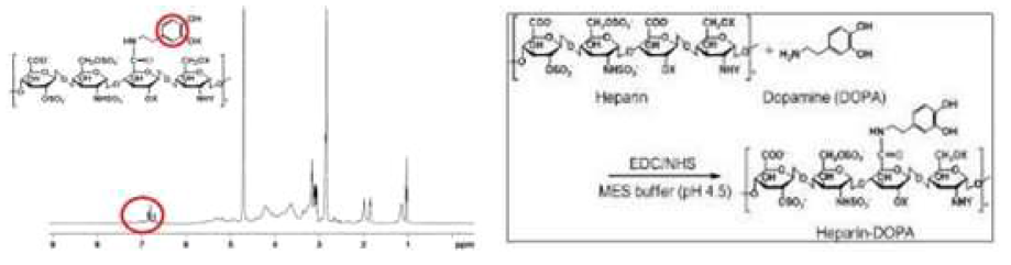 헤파린-도파민 유도체의 1H-NMR 스펙트럼과 헤파린-도파민 유도체의 합성 방법