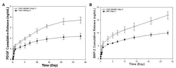 기능화된 티타늄으로부터 PDGF-BB와 BMP-2의 방출 곡선