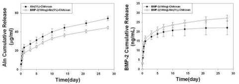 키토산 스캐폴드로부터 alendronate와 BMP-2의 방출 곡선