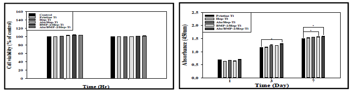 Alendronate/BMP-2가 탑재된 기능성 임플란트의 Cell viability(좌) 와 cell proliferation(우) 분석