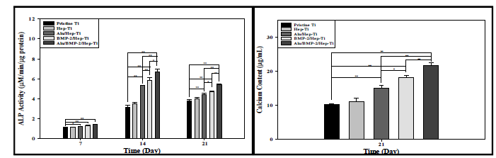 PDGF-BB/BMP-2가 탑재된 기능성 임플란트의 ALP activity(좌) 와 Calcium content(우) 분석