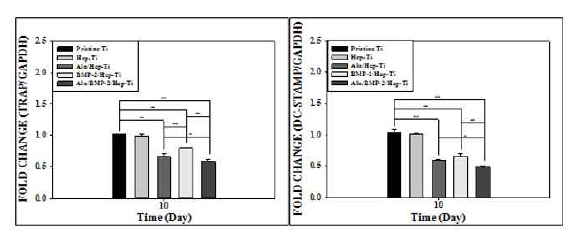 Alendronate/BMP-2가 탑재된 기능성 임플란트의 osteoclast 분화마커인 TRAP(좌)과 DC-STAMP(우)의 mRNA 유전자 발현 분석