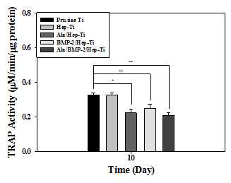 Alendronate/BMP-2가 탑재된 기능성 임플란트의 TRAP activity 분석