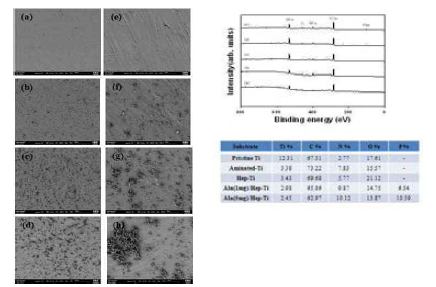 (좌)Alendronate가 탑재된 기능성 임플란트의 SEM 분석: (a) pristine Ti, (b) Heparin-immobilized Ti, (c) Alendronate(1mg)/Hep-Ti, (d) Alendronate(5mg)/Hep-Ti. (우)임플란트 표면의 원소분석