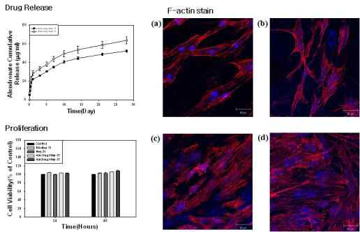 Alendronate가 탑재된 기능성 임플란트의 약물방출, HBFCs의 세포증식 및 세포접착성 평가