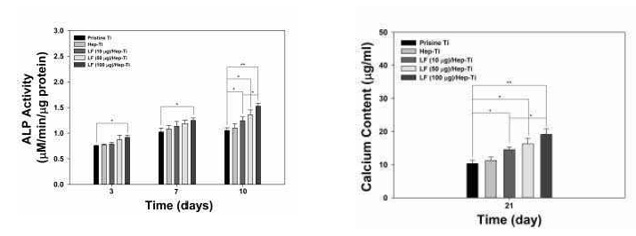 락토페린이 탑재된 기능성 임플란트의 ALP activity(좌) 와 Calcium content(우) 분석