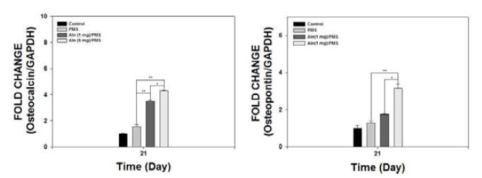 알렌드로네이트가 탑재된 PMSs의 ALP activity(좌) 와 Calcium content(우) 분석