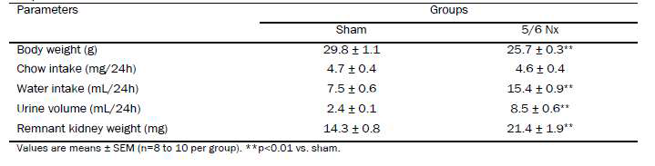 몸무게, 먹이양, 음수량, 24시간 소변량, 5/6 콩팥적출 (nephrectomy) 동물 에서 나머지 신장의 무게