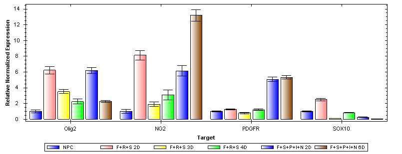 희소돌기아교세포 마커인 Olig2, NG2, PDGFR-alpha, SOX10의 발현을 신경전구세포를 기준으로 하여 그 발현량을 확인