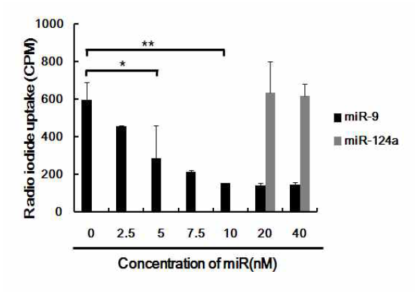 외부 microRNA에 의한 microRNA9 추적 핵의학 리포터 유전자의 radioiodide uptake gamma counter 분석