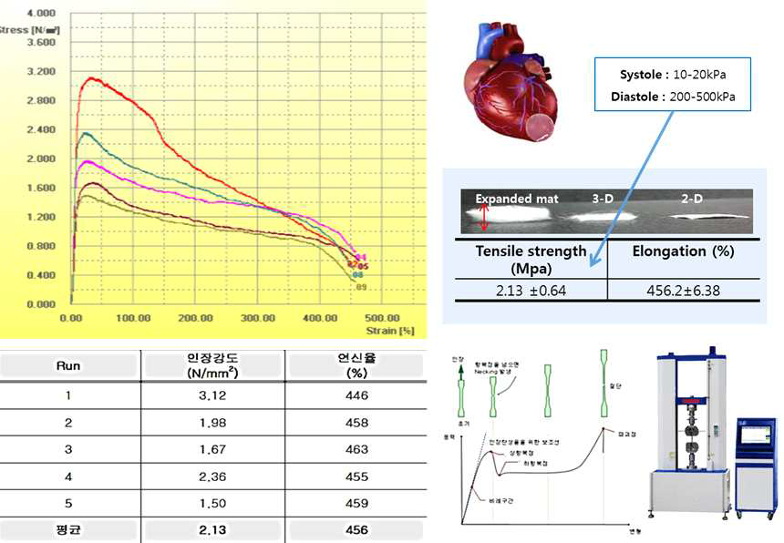 심근재생유도체의 UTM을 이용한 인장강도 및 연실율 측정 결과