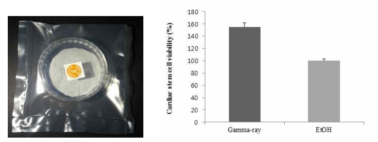 GMP 의료기기 포장공정 밸리데이션 규정에 의거한 파우치 멸균용 밀봉 포장형태의 3-D 패치형 심근재생유도체(좌; ETIGAM's process gamma indicators, ATMI medical grade LDPE bag) 및 멸균법 개선에 의한 세포증식율 향상(우)