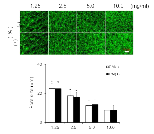 Interpenetrating network of fibrin-based biomimetic provisional matrix adjusting by fibrinogen concentration