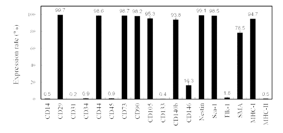 Immunophenotype of subcultured human adult cardiac stem cells using niche preserving 3-dimensional organ culture of the adult human myocardium