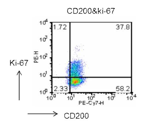 The growth fraction of cardiac stem cells derived from the adult myocardium according to the expression level of CD200