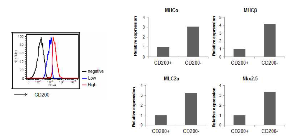The cardiomyogenic potential of cardiac stem cells derived from the adult myocardium according to the expression level of CD200