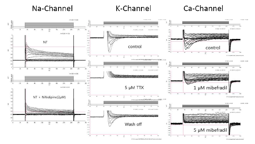 Electrophysiologic characteristics of human cardiac stem cells induced into cardiomyocytes